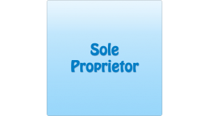 Sole Proprietor Yearly 1 GB