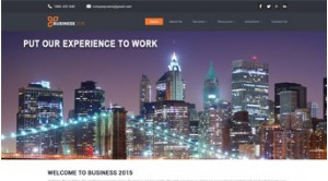 BusinessZ Bundle Own It