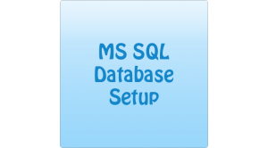 MS SQL Custom Setup