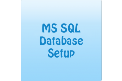 MS SQL Custom Setup