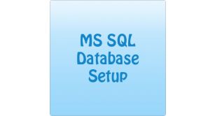 MS SQL Custom Setup