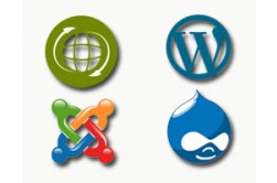 Bundle Yearly - Renewal