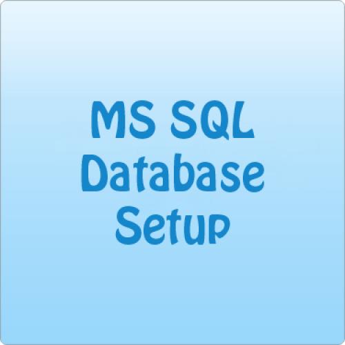 MS SQL Custom Setup