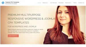 Celeste Bundle Own a Copy