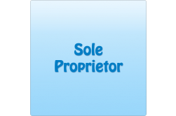 Sole Proprietor Monthly 1 GB